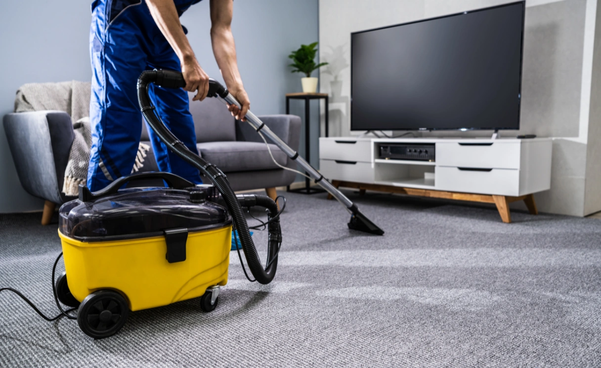 Extract Rug Cleaning Nutfield Contact Office
